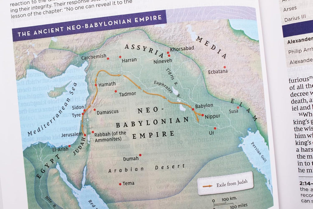 NIV Application Bible, European Bonded Leather, Black, Indexed