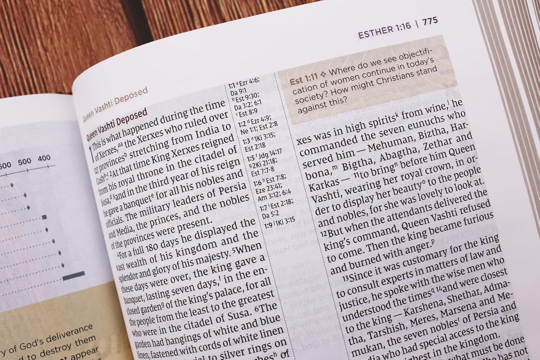 NIV Application Bible, Personal Size, Leathersoft, Brown/Blue, Red Letter, Comfort Print