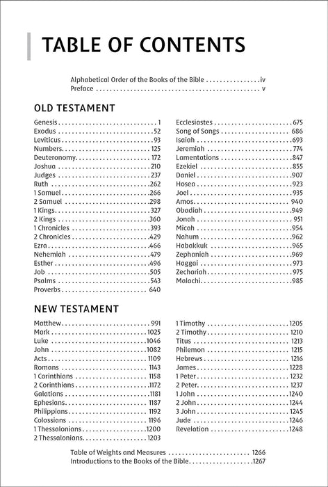 NIrV Bible for Kids Large Print Pink Leathersoft