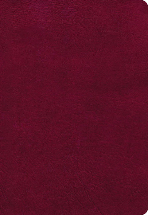 NASB Super Giant Print Ref Bible Burgundy Leathertouch