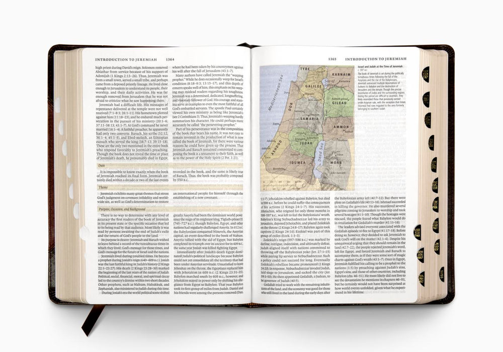 ESV Study Bible TruTone Brown/Cordovan Portfolio Indexed