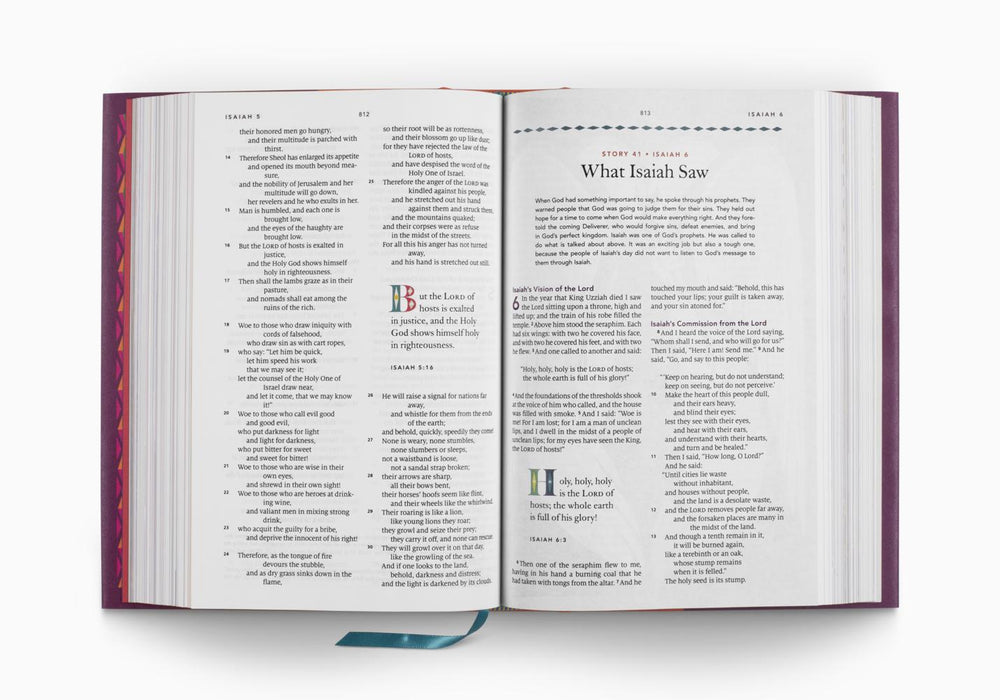 ESV The Biggest Story Holy Bible for Kids, Hardcover
