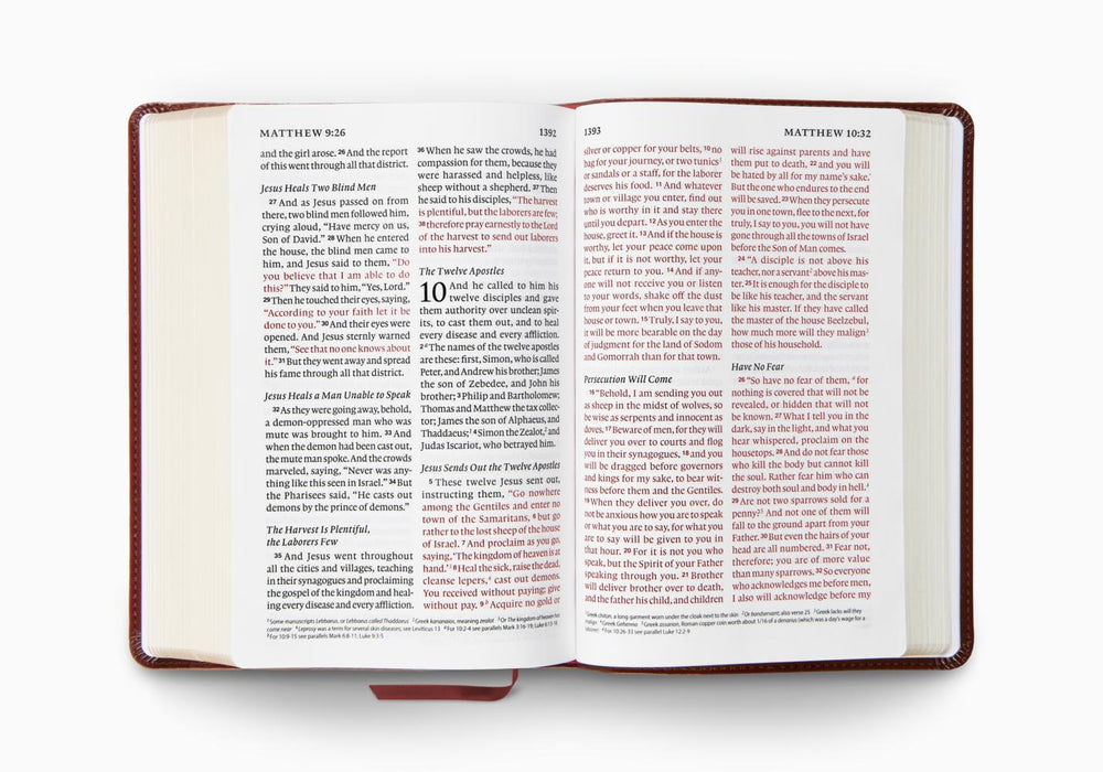 ESV Giant Print Personal Size Bible, Red Letter. TruTone®, Chestnut