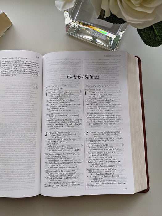 NLT/NTV Bilingual Bible Leatherlike Brown