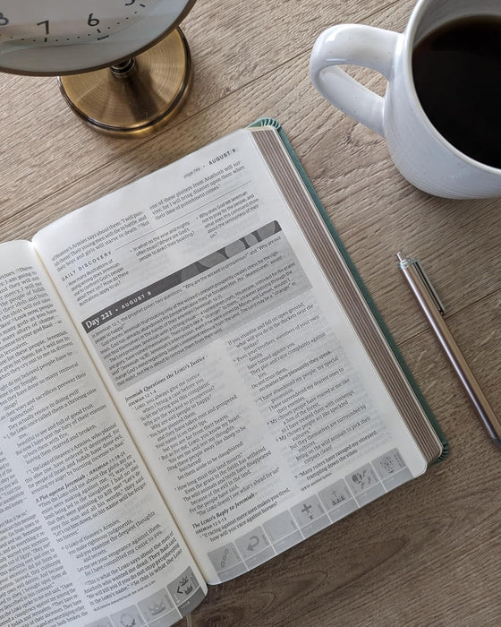 NLT One Year Chronological Study BibleLeatherLike, Sage Green Mosaic