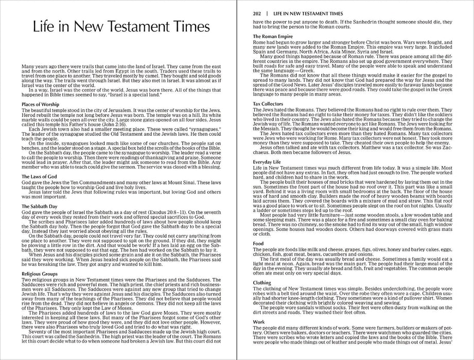 NIV The Story of God New Testament Paperback - Morning Star Christian Bookstores