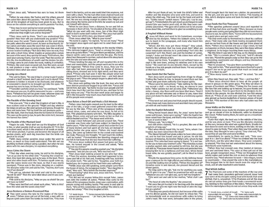 NIV Holy Bible, Economy Edition