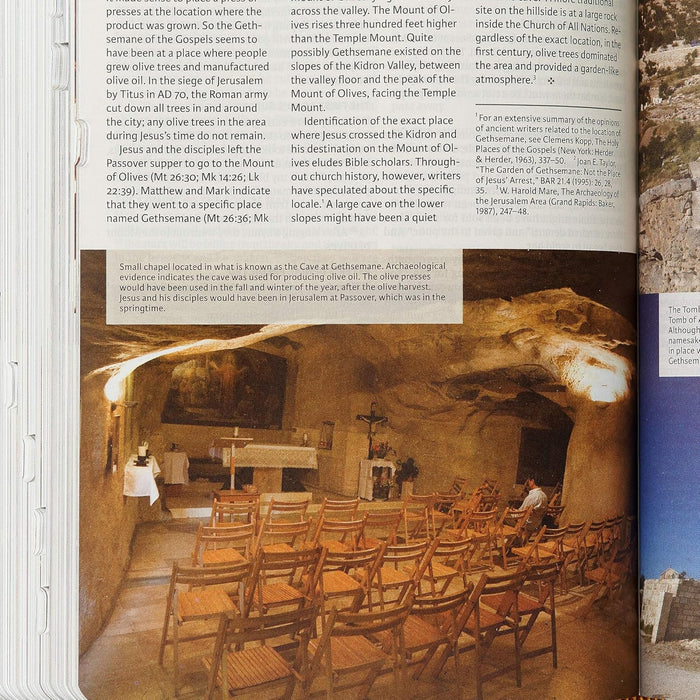 CSB Holy Land Illustrated Bible, Ginger LeatherTouch, Indexed