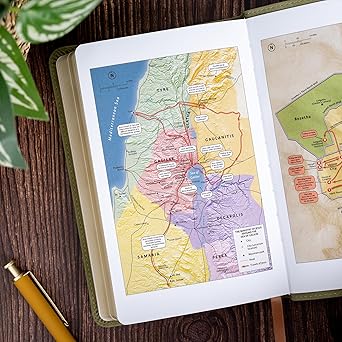 CSB Personal Size Bible, Sage SuedeSoft LeatherTouch