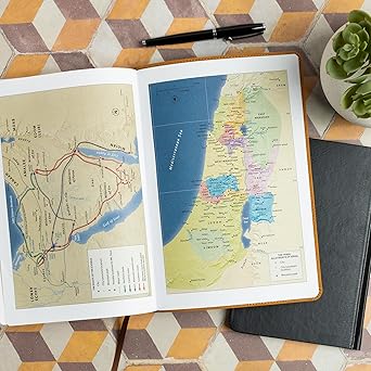 CSB Super Giant Print Reference Bible, Digital Study Edition, Camel SuedeSoft LeatherTouch