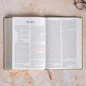 NASB Super Giant Print Reference Bible, Sage SuedeSoft LeatherTouch