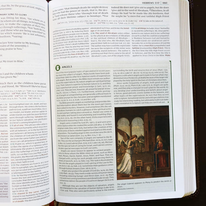NKJV Study Bible - Full Color - Brown