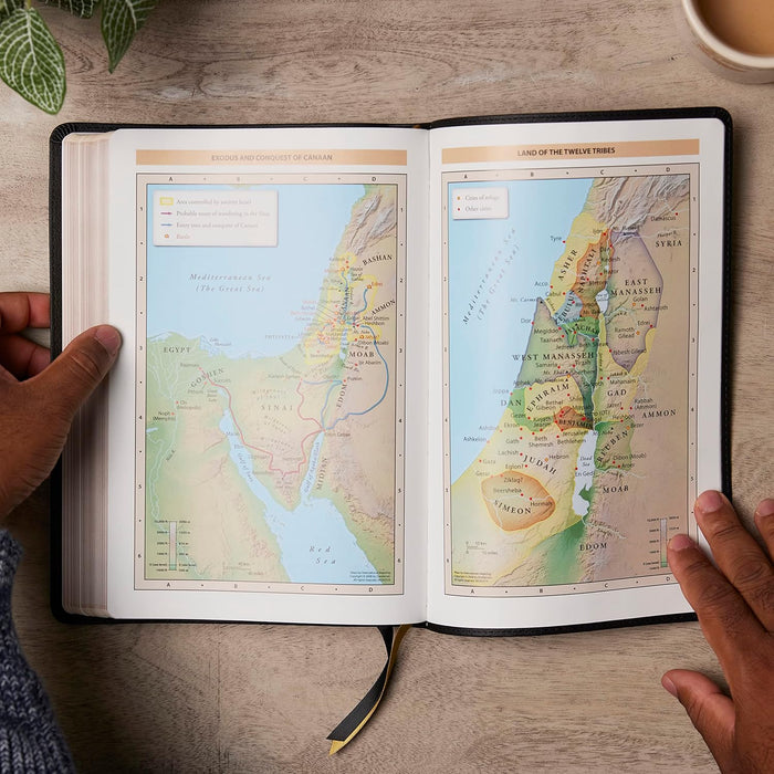 KJV Giant Print Thinline Bible Vintage Series (Purple Leathersoft)