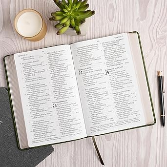 CSB Giant Print Reference Bible, Digital Study Edition, Olive LeatherTouch