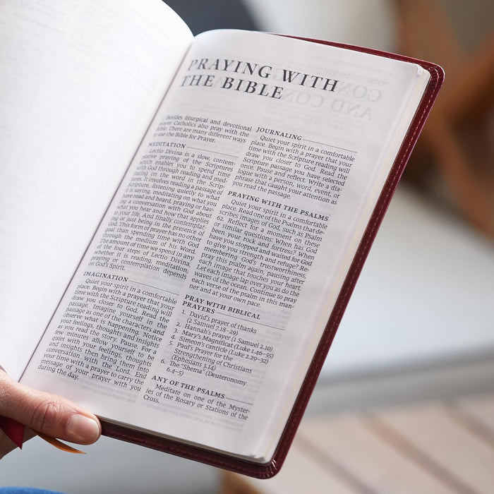 NRSV Large Print Standard Catholic Bible, Brown Leathersoft