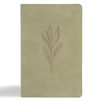 CSB LP Per Size Ref Bible, Sage LT - Morning Star Christian Bookstores