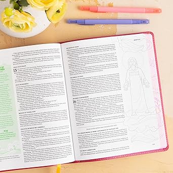 CSB Journal and Draw Bible for Kids, Pink LeatherTouch
