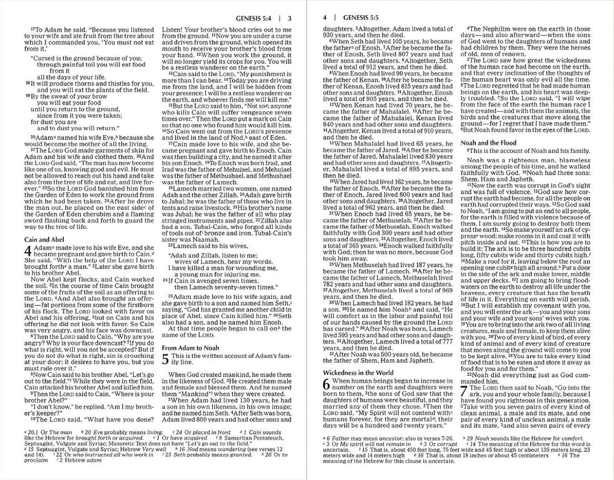 NIV The Story of God Student Edition PB - Morning Star Christian Bookstores