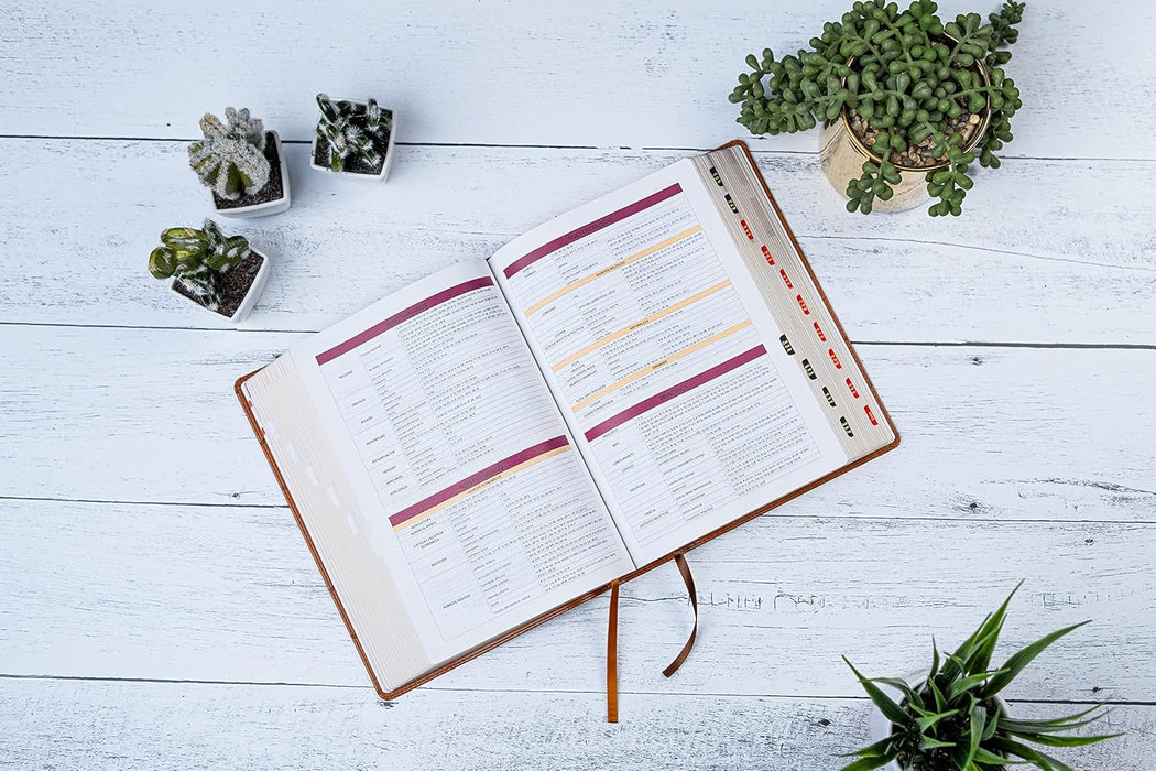 RVR 1960 Biblia de Estudio Holman, Café Símil Piel con Indice/Holman Study Bible Coffee Indexed