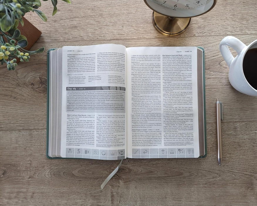 NLT One Year Chronological Study BibleLeatherLike, Sage Green Mosaic