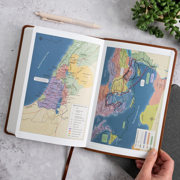 New American Standard Bible, Brown Leathertouch, Large Print Thinline, Value Edition