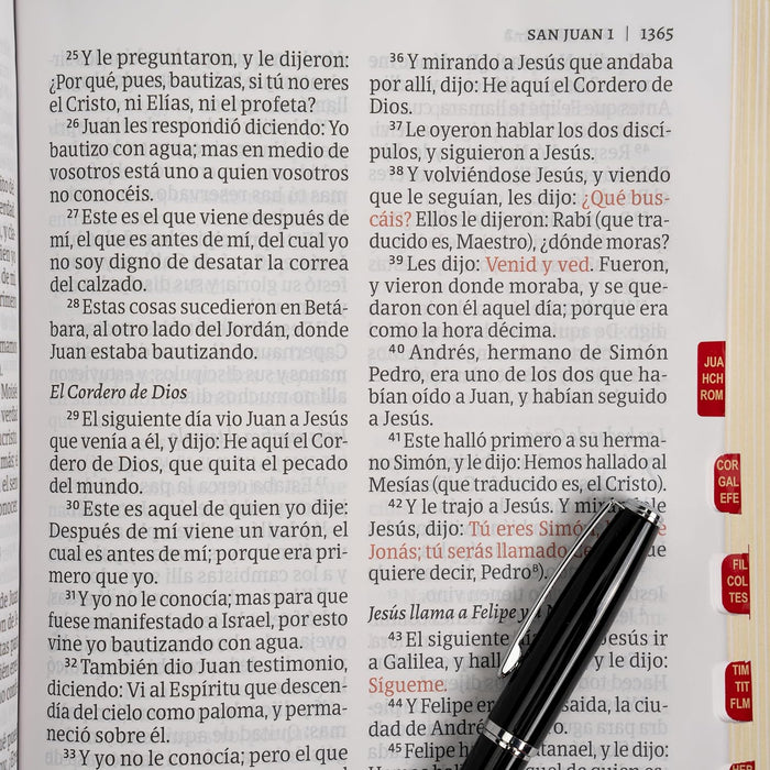 RVR 1960 Biblia letra gigante, café piel fabricada con índice (Edición 2023)