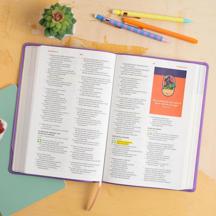 RVR 1960 Biblia para niños exploradores, lavanda compás símil piel / RVR 1960 Kid's explorer Bible, lavander, LeatherTouch (Spanish Edition)