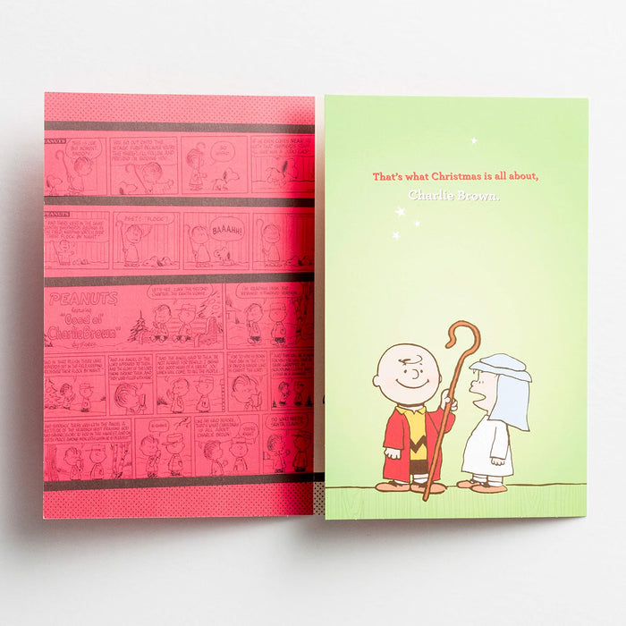 DaySpring - Peanuts That's What Christmas is All About Charlie Brown, Box of 16