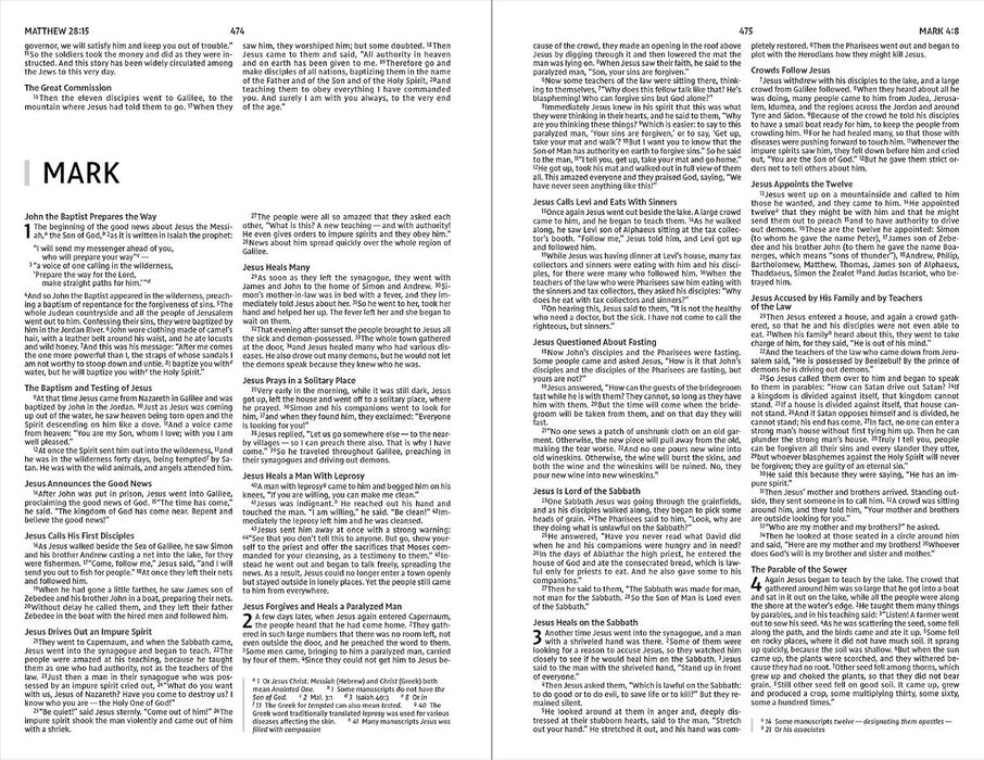 NIV Holy Bible, Economy Edition