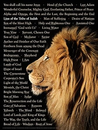 WALL CHART: Lion of Judah - Laminated