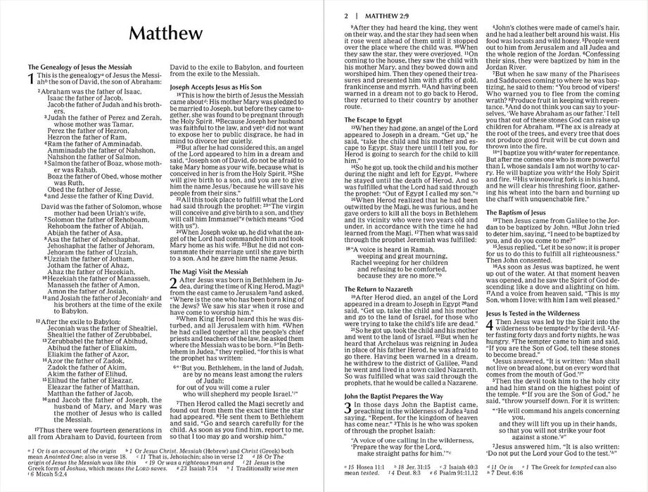 NIV The Story of God New Testament Paperback - Morning Star Christian Bookstores