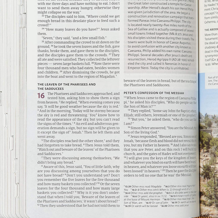 CSB Holy Land Illustrated Bible, Ginger LeatherTouch, Indexed