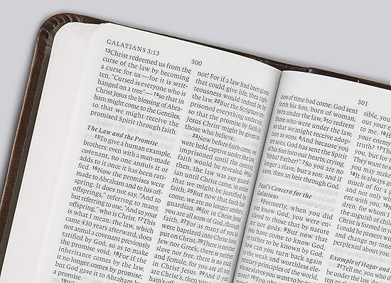 ESV Vest Pocket New Testament TruTone Chestnut