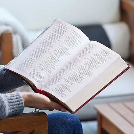 NRSV Large Print Standard Catholic Bible, Brown Leathersoft