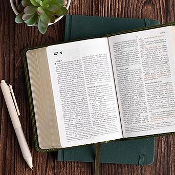 CSB Large Print Compact Reference Bible, Digital Study Edition, Olive LeatherTouch