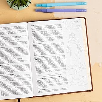 CSB Journal and Draw Bible for Kids, Brown Cork LeatherTouch