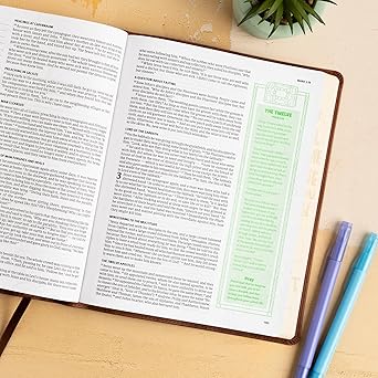 CSB Journal and Draw Bible for Kids, Brown Cork LeatherTouch