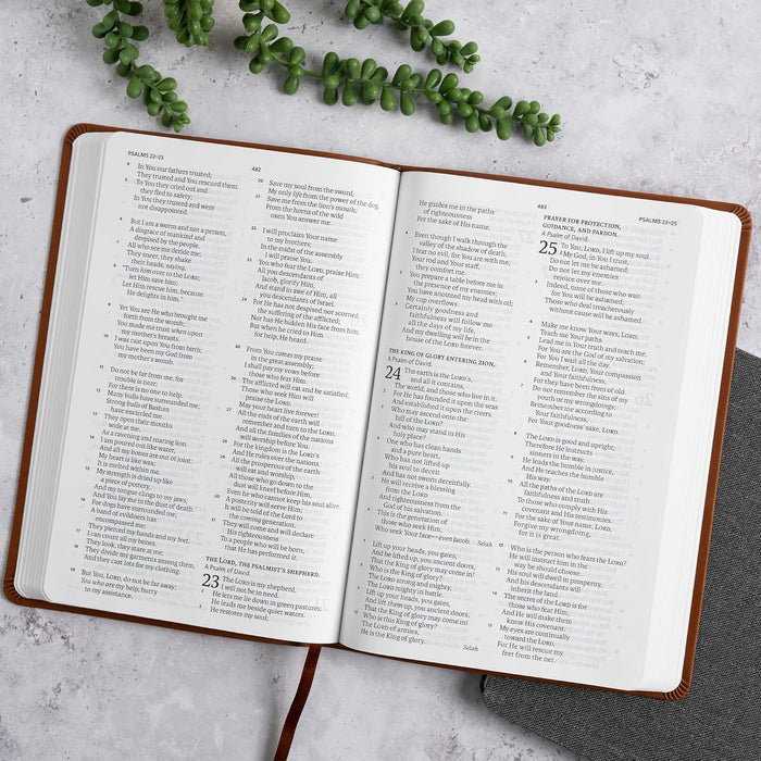 New American Standard Bible, Brown Leathertouch, Large Print Thinline, Value Edition