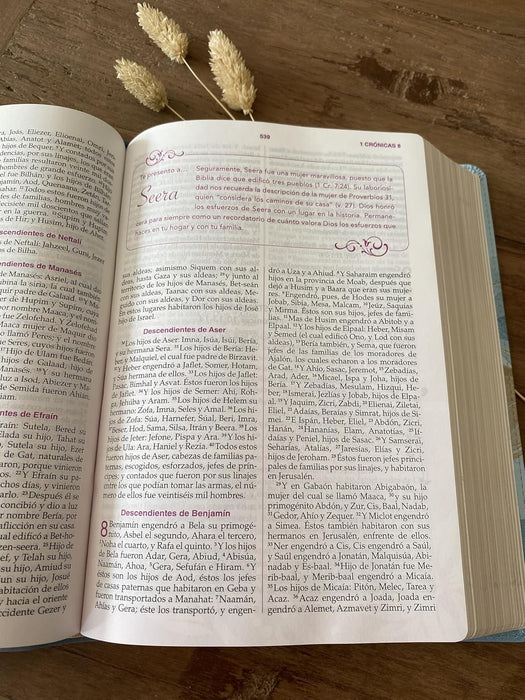 Biblia de la mujer conforme al corazón de Dios RVR60 - Edición pétalos