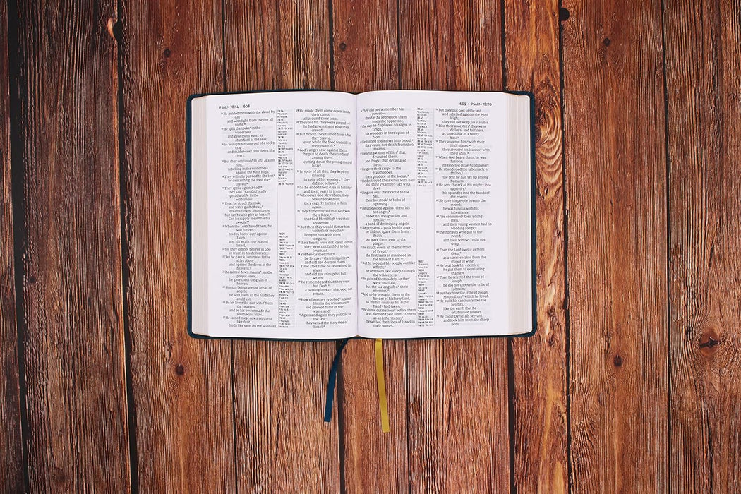 NIV, Thinline Reference Bible (Deep Study at a Portable Size), Large Print, Leathersoft, Teal, Red Letter, Comfort Print - Morning Star Christian Bookstores