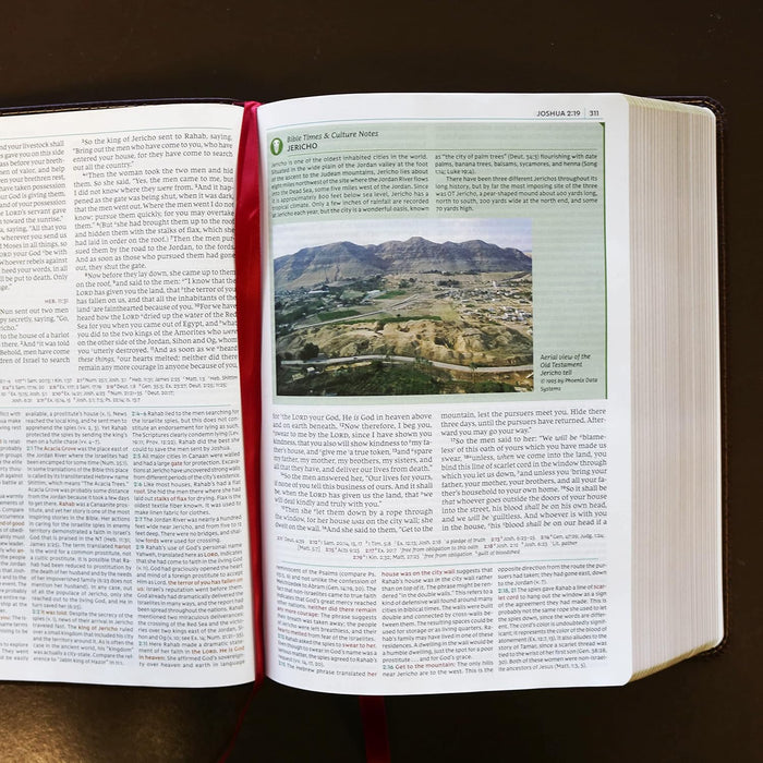 NKJV Study Bible - Full Color - Brown