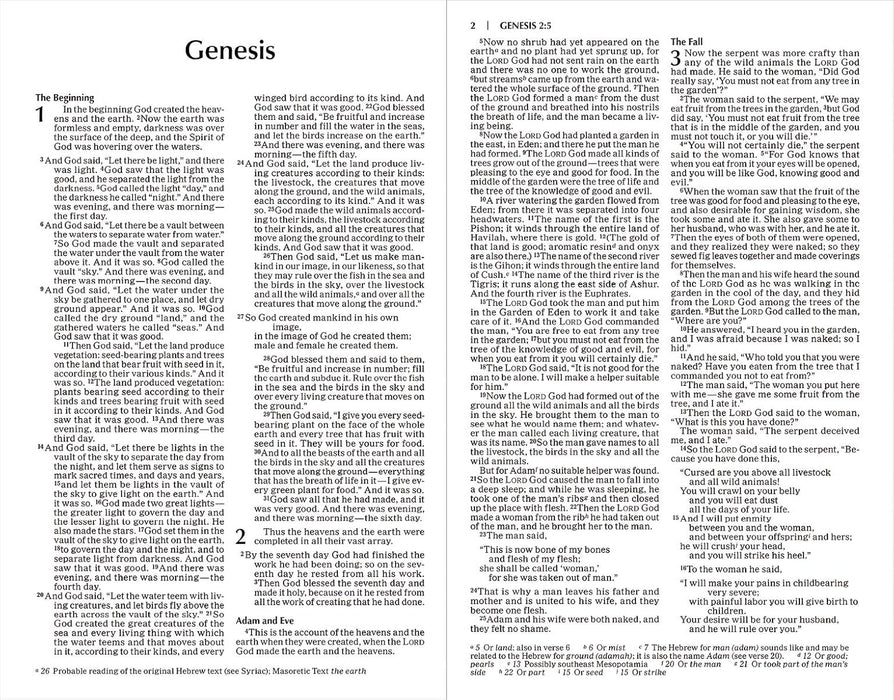 NIV The Story of God Student Edition PB - Morning Star Christian Bookstores