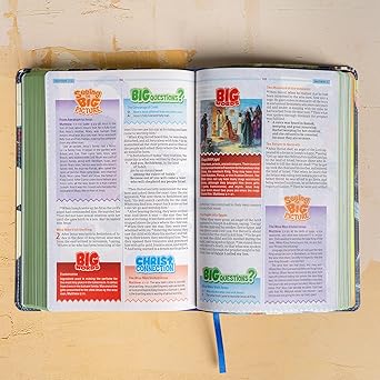 CSB One Big Story Bible, Creation LeatherTouch
