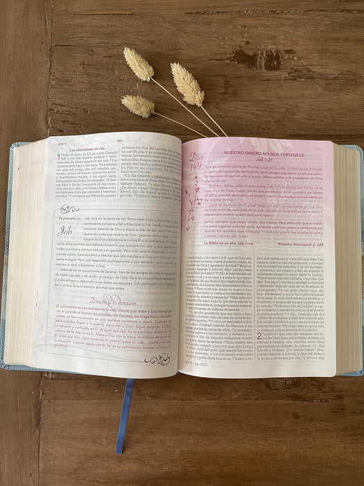 Biblia devocional los lenguajes del amor RVR60 - Edición Oro Rosa