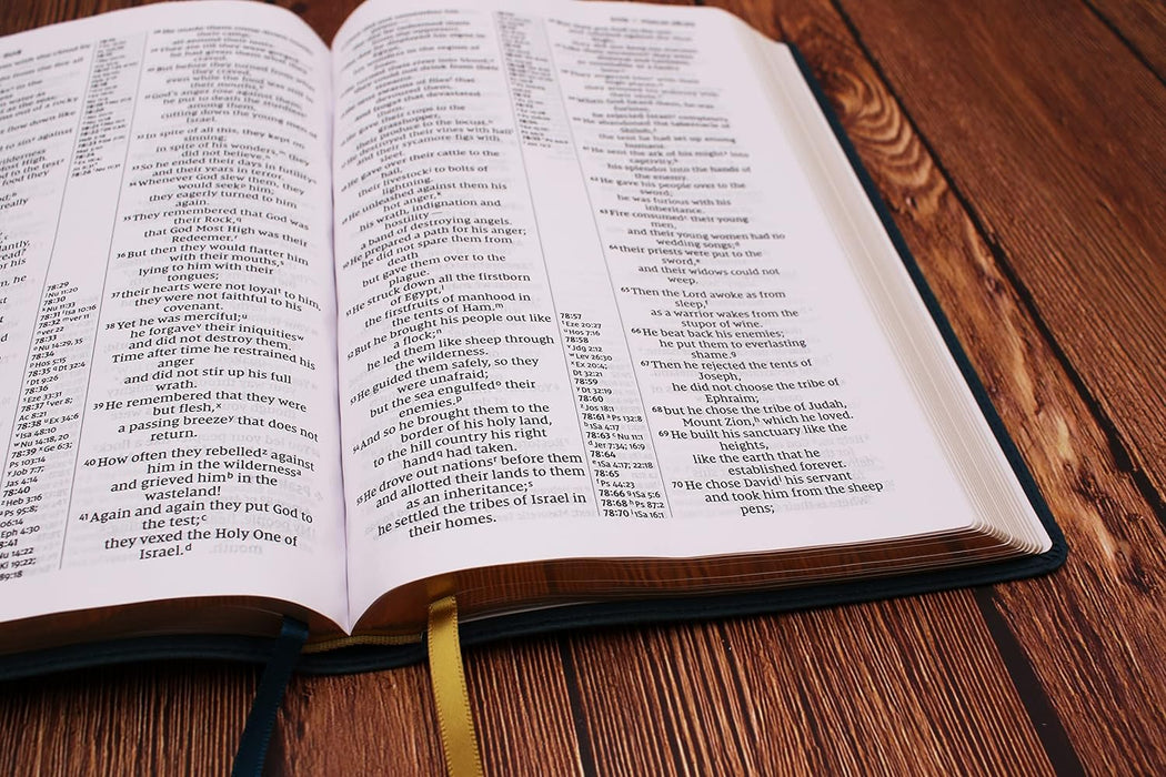 NIV, Thinline Reference Bible (Deep Study at a Portable Size), Large Print, Leathersoft, Teal, Red Letter, Comfort Print - Morning Star Christian Bookstores