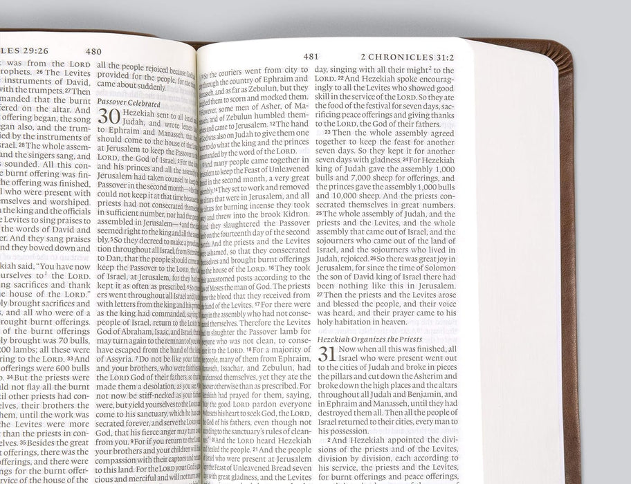 ESV Value Large Print Compact Bible (TruTone, Mahogany, Border Design)