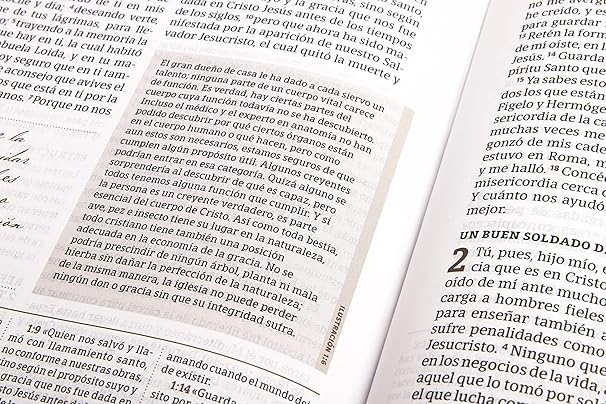 RVR1960 Biblia de Estudio Spurgeon Negro/Marrón Símil Piel