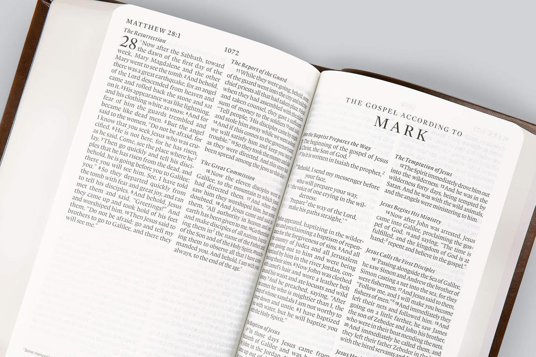 ESV Value Large Print Compact Bible (TruTone, Mahogany, Border Design)