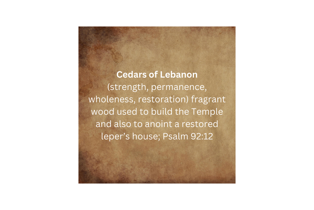 Cedar Prayer Oil - 1/4oz - Morning Star Christian Bookstores