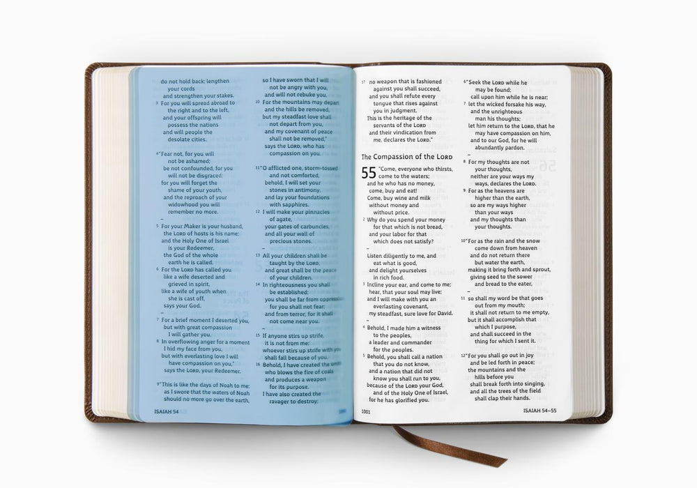 ESV Holy Bible: Dyslexia-Friendly Edition (Trutone, Brown)